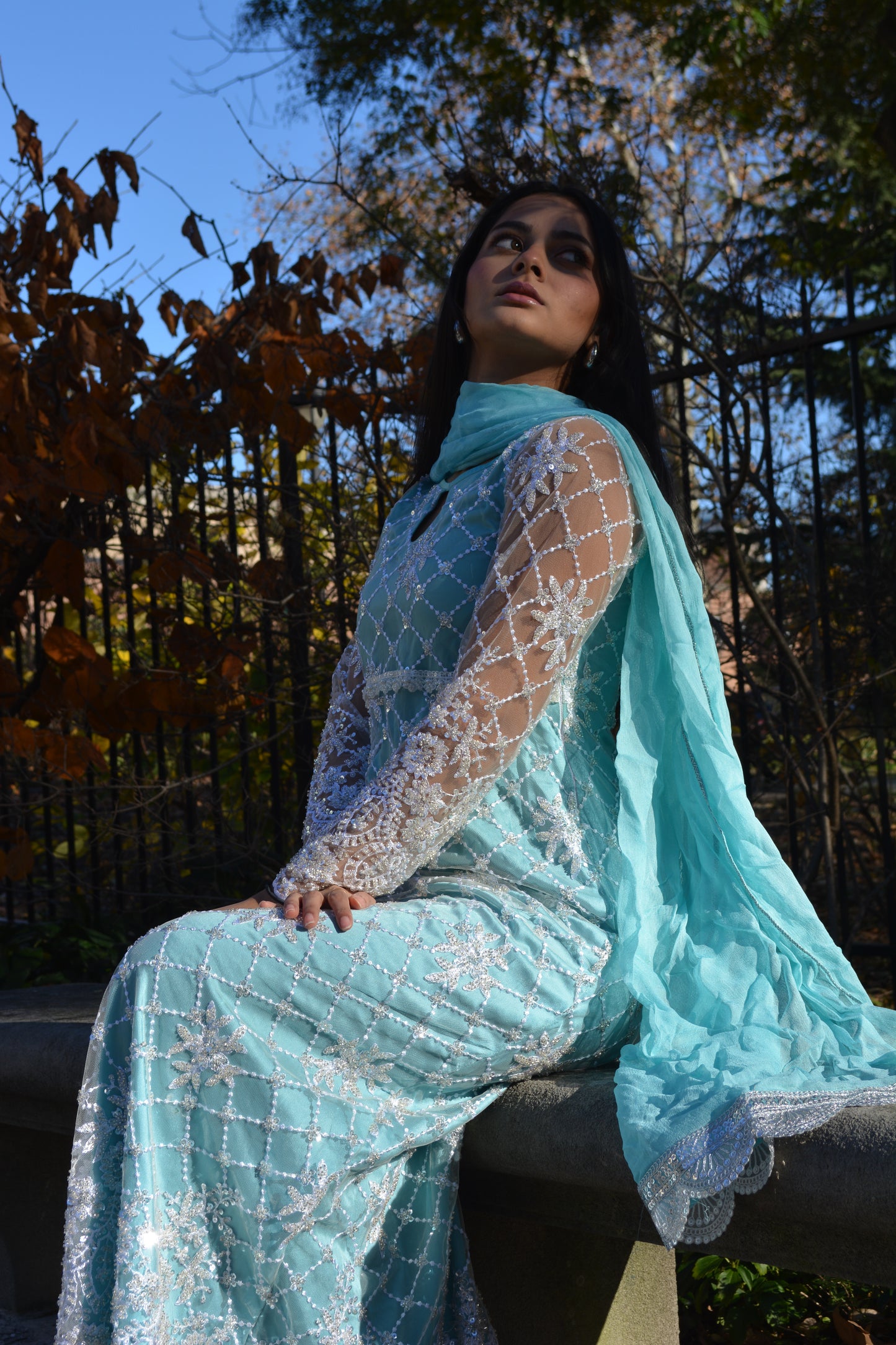 Baraf Rani
